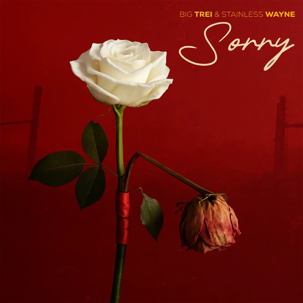 Big Trei Sorry Cover