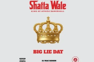 Shatta Wale Big Lie Dat