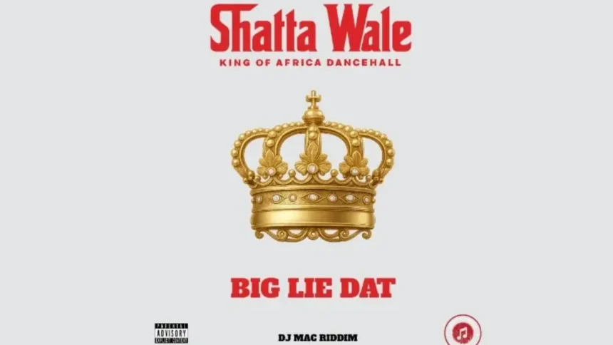 Shatta Wale Big Lie Dat