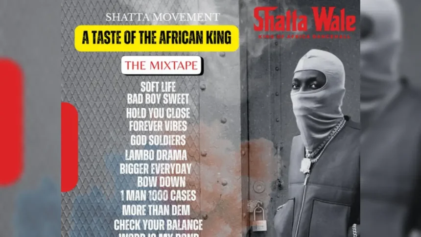 Shatta Wale More Than Dem