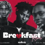 Slvmlife Breakfast Remix