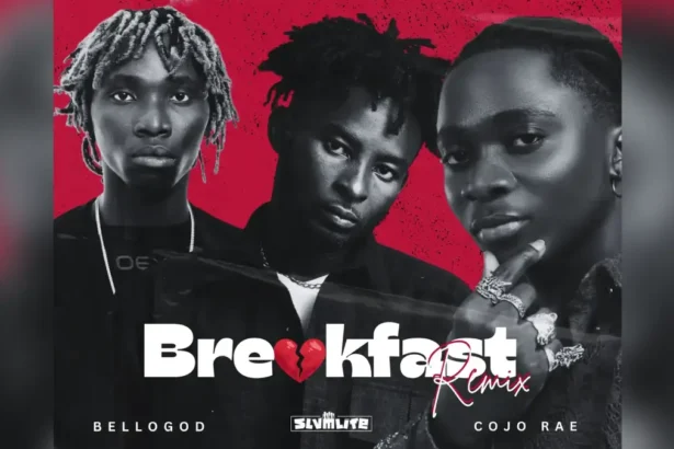 Slvmlife Breakfast Remix