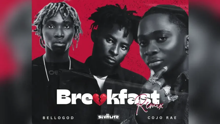 Slvmlife Breakfast Remix