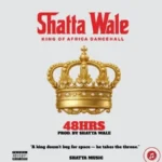 Shatta Wale 48HRS