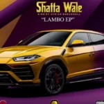 Shatta Wale Are You Sure