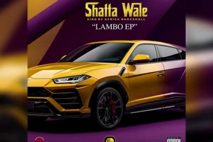 Shatta Wale Are You Sure