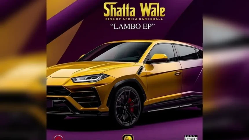 Shatta Wale Are You Sure