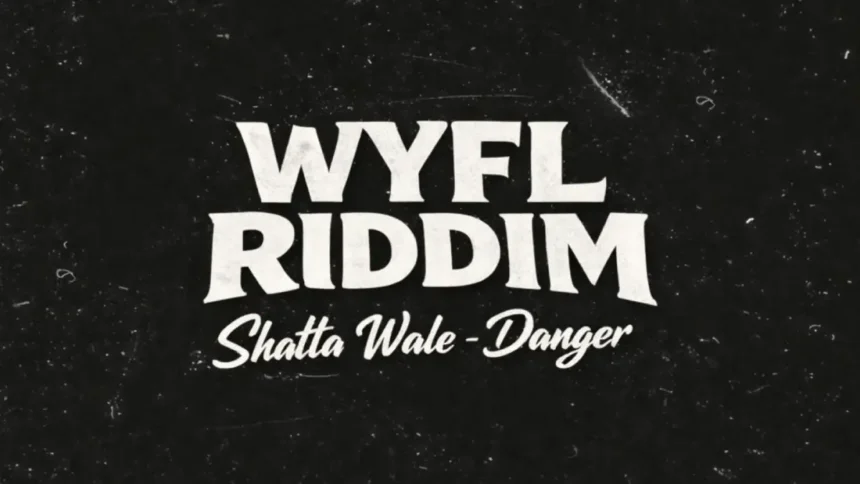 Shatta Wale Danger