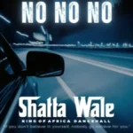 Shatta Wale No No No