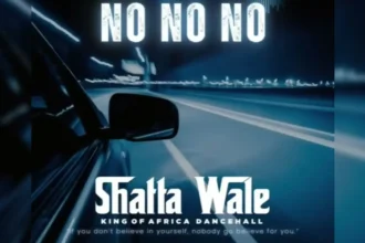Shatta Wale No No No
