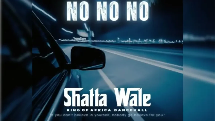 Shatta Wale No No No