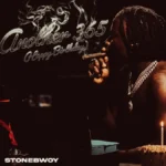 Stonebwoy Another 365